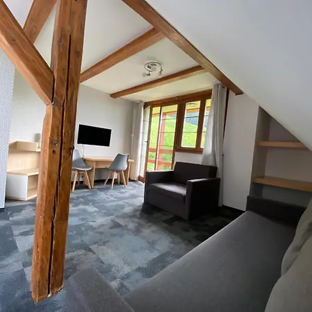 Pod Orlica ホームステイ