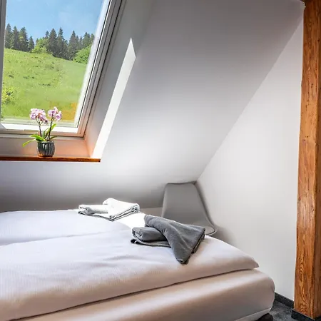 Quarto em Acomodações Particulares Pod Orlica *